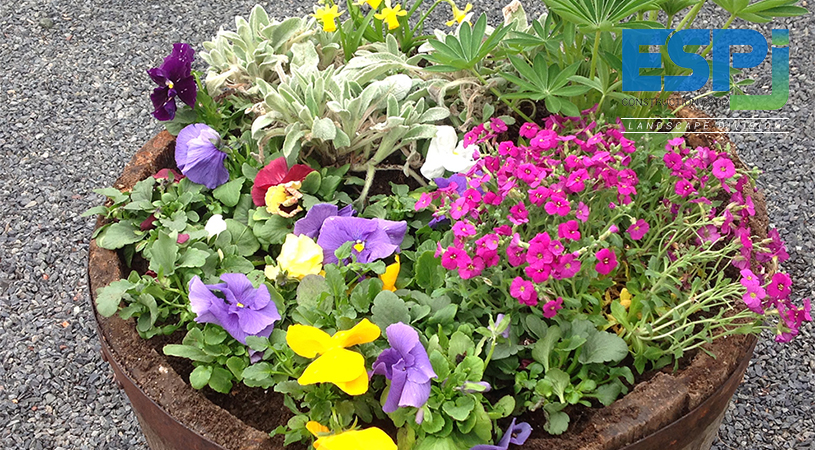 ESPJ Construction Landscaping Linden NJ